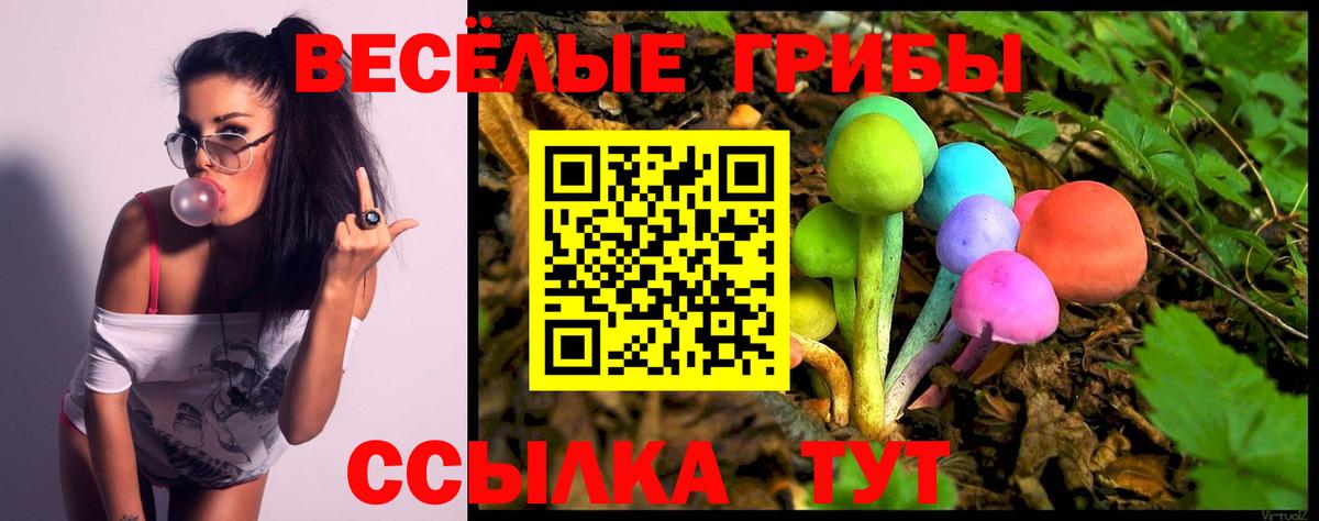 Дубна  Псилоцибиновые грибы MAGIC MUSHROOMS  Галлюциногенные грибы Cubensis  купить  цена  Вход с VPN 